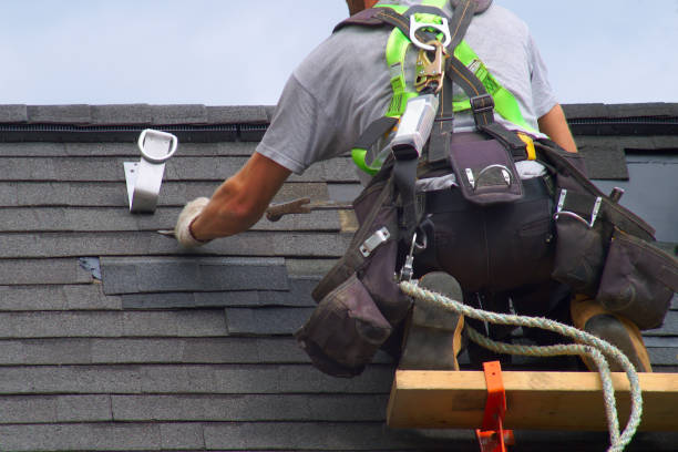 Best Flat Roof Repair Services  in Spring Park, MN