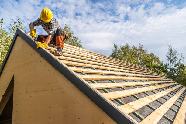 Professional Roofing Contractor in Spring Park, MN