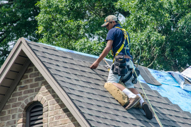 Best Residential Roofing Contractor  in Spring Park, MN