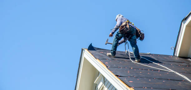 Best Roof Leak Repair  in Spring Park, MN